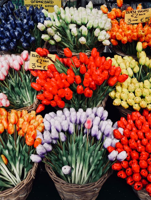 A vibrant display of flower bulbs arranged in woven baskets at a florist market. The selection includes clusters of purple, red, yellow, white, and orange tulips, each with fresh, smooth petals and gr
