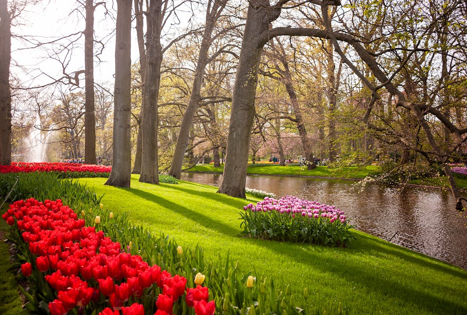 A scenic view of a park with lush green grass and a river flowing through the middle, surrounded by tall trees with budding spring foliage. In the foreground, there are vibrant red tulips and pale yel